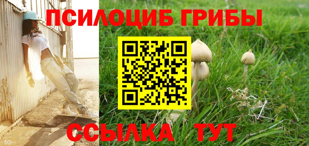 Галлюциногенные грибы GOLDEN TEACHER Среднеуральск