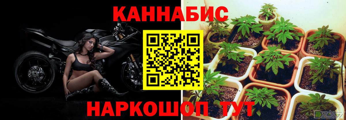 Каннабис марихуана Среднеуральск